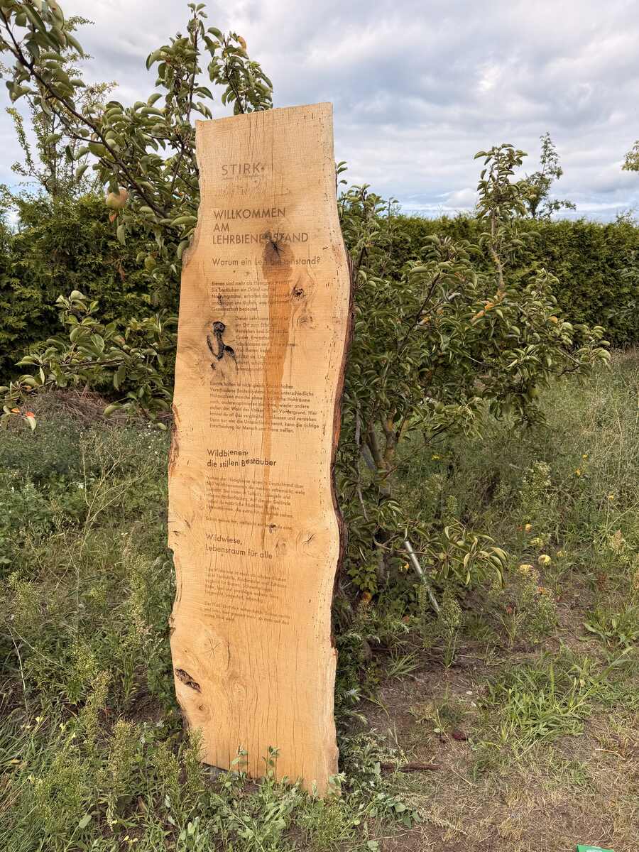 Hölzerne Infotafel STIRK Willkommen am Lehrbienenstand, umgeben von Grün